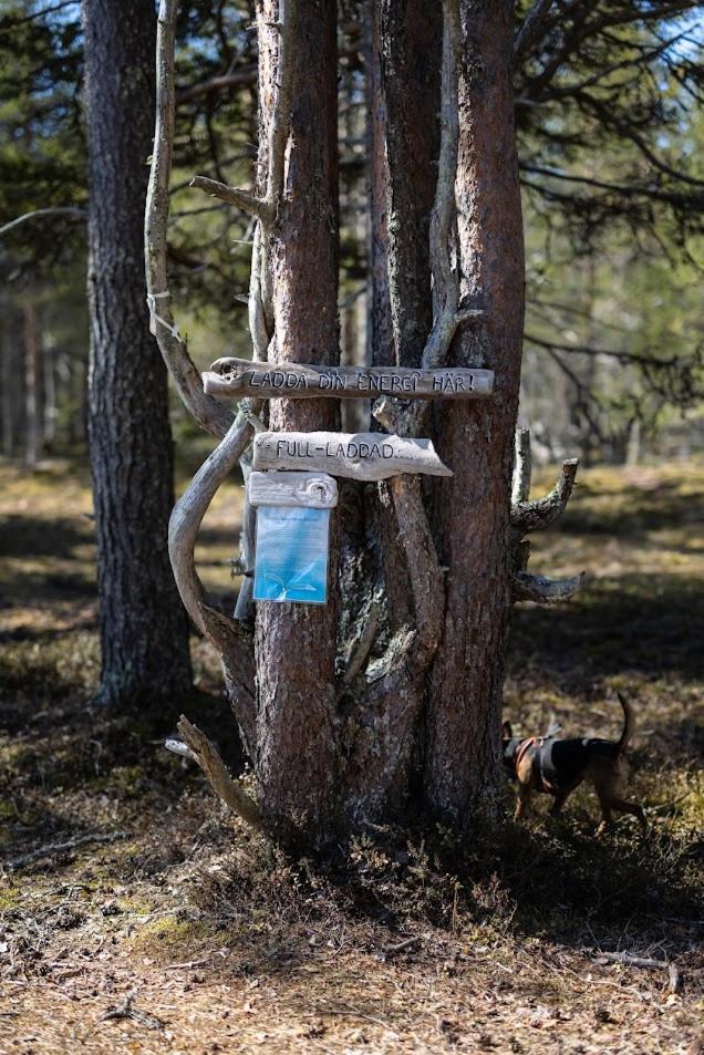מלון Båtskärsnäs Nordic Lapland Frevisoeren מראה חיצוני תמונה