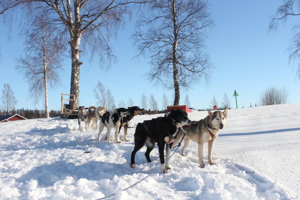 מלון Båtskärsnäs Nordic Lapland Frevisoeren מראה חיצוני תמונה